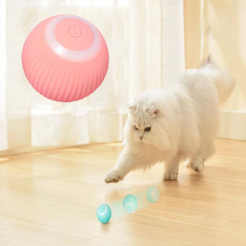 PawsKingdomStore™ Interactive Ball